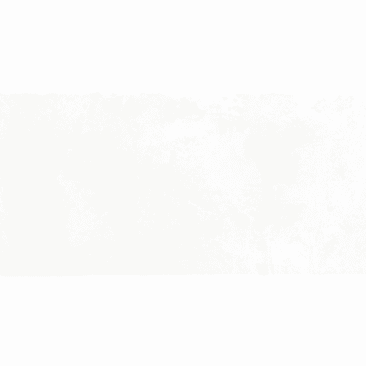 Agrob Buchtal Sento Unifliese pale white glasiert strukturiert | Farbe: pale white