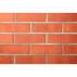 Randers Tegl Vormauer-Ziegel DF | Farbe: rot | Höhe: 52 mm | Länge: 240 mm